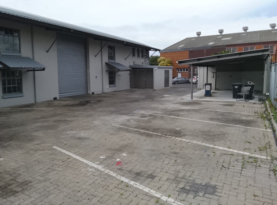 To Let Commercial Property for Rent in Paarden Eiland Western Cape